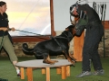 img00006