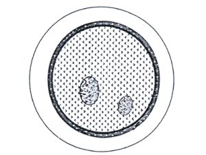 05.gif