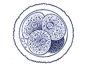 07.gif