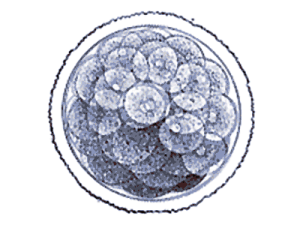 12.gif
