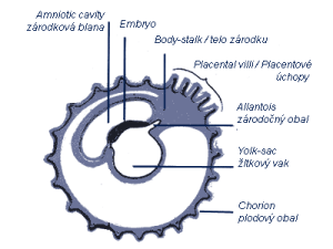 19.gif