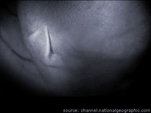32