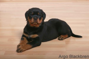 argo1_w