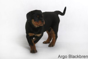 argo2_w