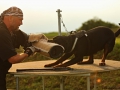8W4A8586