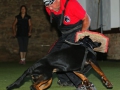 img00014 img00014